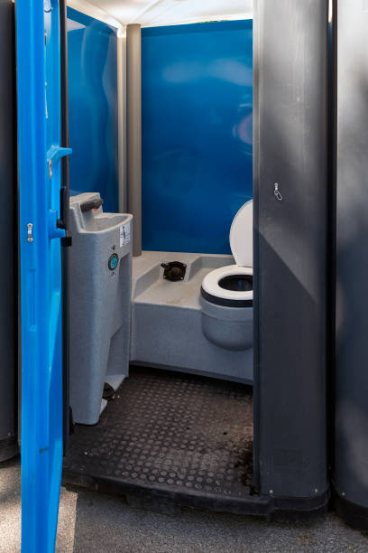 Best Porta potty rental for festivals  in Steelevle, IL