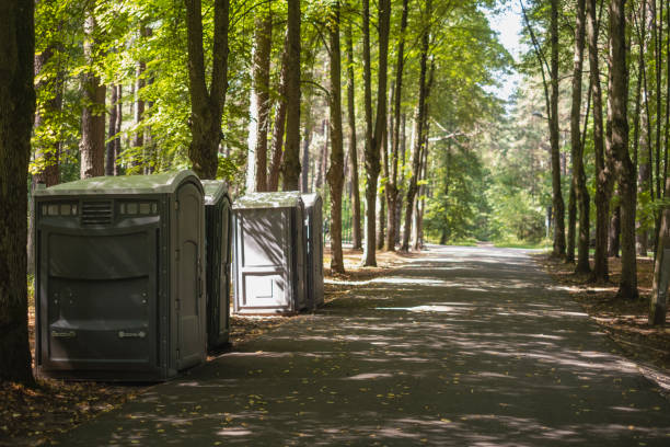 Best Handicap porta potty rental  in Steelevle, IL